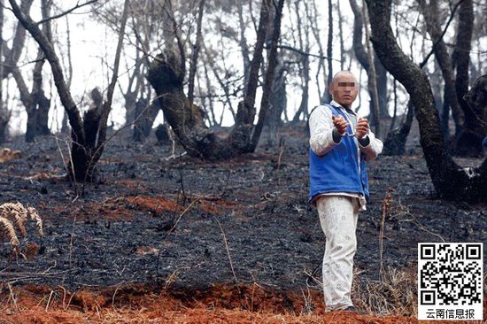 山林被燒得滿目瘡痍。