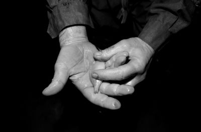 圖為科考人員發(fā)現(xiàn)的洞穴動(dòng)物（3月2日攝）。