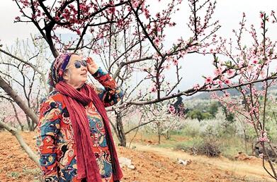 公式“時尚奶奶”的賞花照，收獲了好多人的點(diǎn)贊。 受訪者供圖