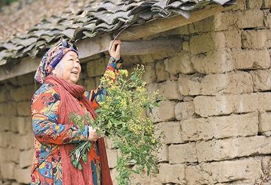 公式“時尚奶奶”的賞花照，收獲了好多人的點(diǎn)贊。 受訪者供圖