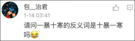 鶴立雞群？雞立鶴群！