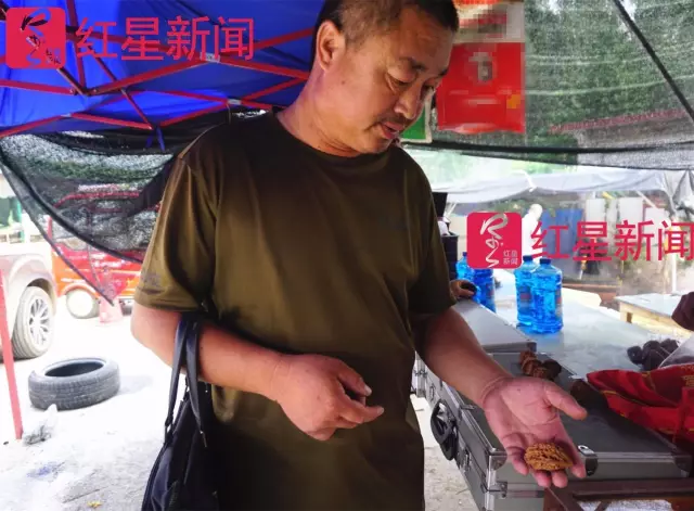 文玩核桃遇冷由幾萬(wàn)一對(duì)降到5元沒(méi)人要？商戶否認(rèn)