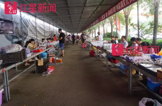 文玩核桃遇冷由幾萬(wàn)一對(duì)降到5元沒(méi)人要？商戶否認(rèn)