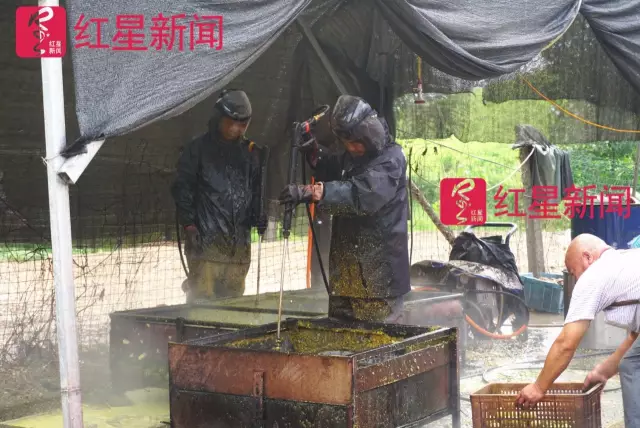 文玩核桃遇冷由幾萬(wàn)一對(duì)降到5元沒(méi)人要？商戶否認(rèn)