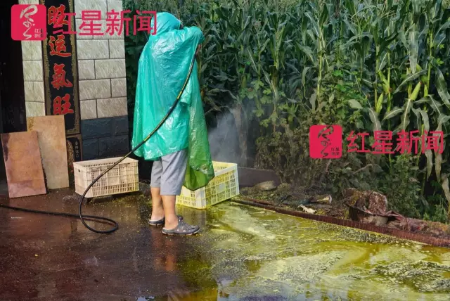 文玩核桃遇冷由幾萬(wàn)一對(duì)降到5元沒(méi)人要？商戶否認(rèn)