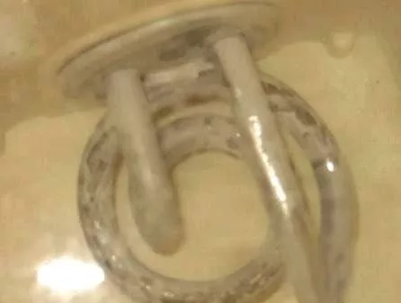 太惡心！女游客竟用酒店燒水壺煮自己的臟內(nèi)褲