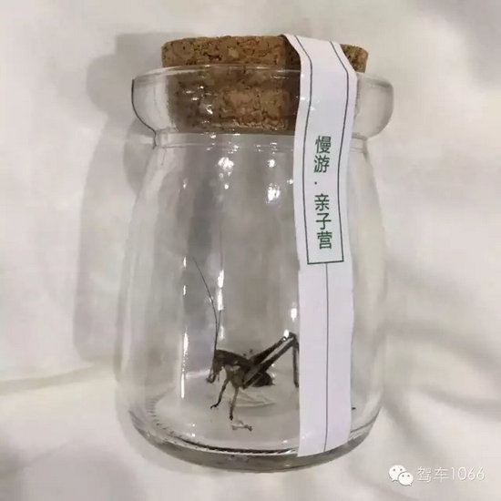 看看我的成果吧！