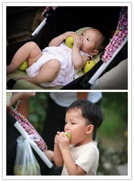 純天然無(wú)公害，新鮮采摘，直接入口！