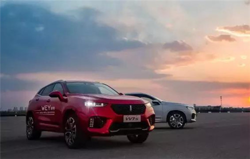 去年“蹦”出來(lái)的新汽車品牌們，現(xiàn)在活得怎么樣了？