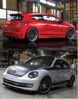 尚酷、甲殼蟲