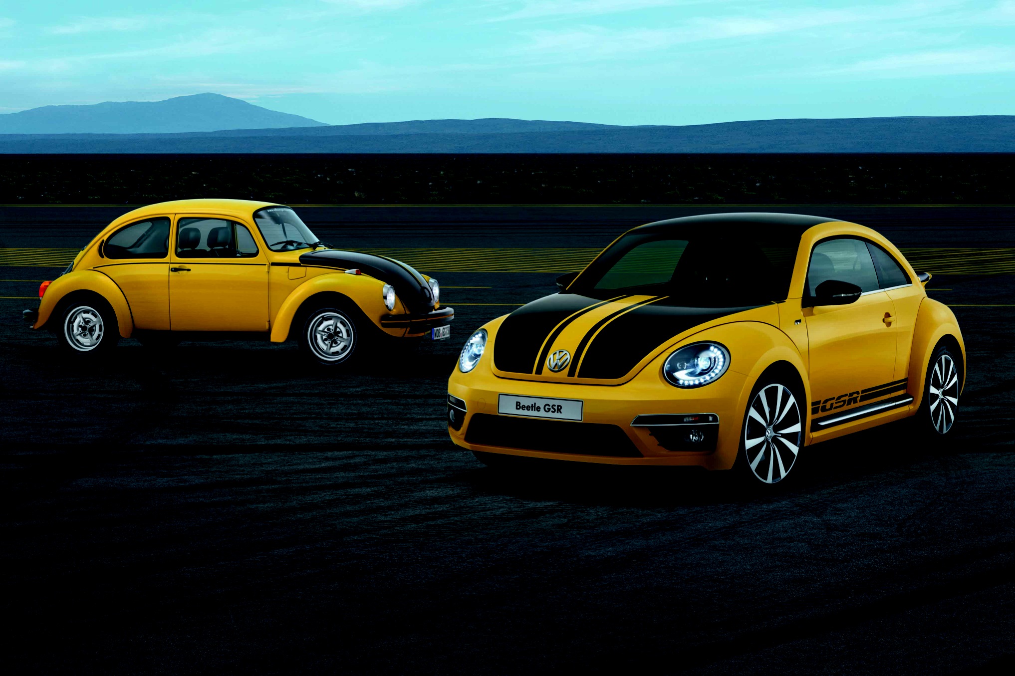 甲殼蟲(chóng)家族