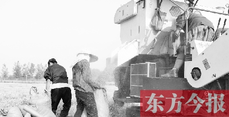 李正厚的妻子鮑本華（右）和一位村民拎著麻袋來到收割機(jī)前，接住傾倒出來的麥粒