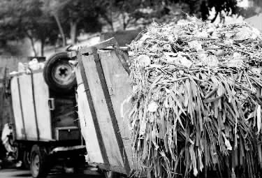 垃圾車、渣土車再在市區(qū)“裸奔”就是違法了