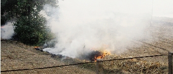 鄭州深陷“霾”伏   都是燒秸稈惹的禍？