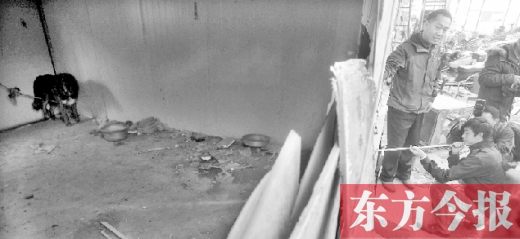 12月4日，鄭州市未來路與隴海路交叉口西側(cè)，執(zhí)法人員用吹管麻醉針對付一只藏獒