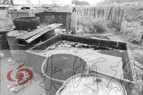 　　骯臟、令人作嘔的油桶凌亂地擺放在院子里，為了避免視覺刺激，我們把它做成了黑白圖片。