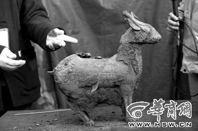 一件似羊似鹿的犧尊華麗亮相，可愛的造型“萌翻”現(xiàn)場。