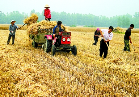 6月1日，舞鋼市礦建街道張我莊村幫扶隊員在幫村民收秸稈。