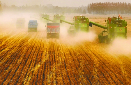 田里，一臺臺收割機唱著豐收歌。