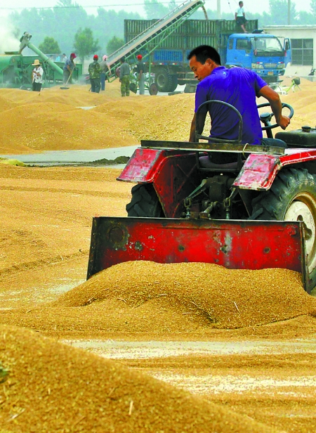 精心晾曬，散倉入庫。