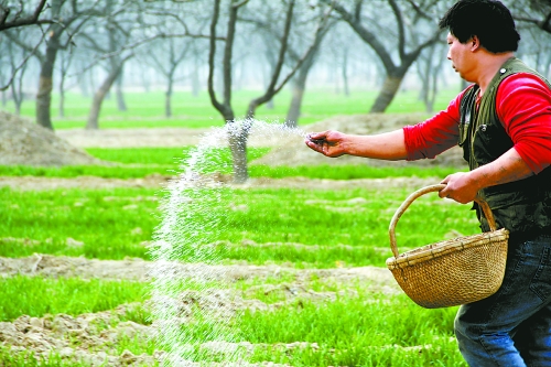 3月18日，內(nèi)黃縣城關(guān)鎮(zhèn)農(nóng)民在給小麥?zhǔn)┓?。眼下正是冬小麥返青的關(guān)鍵時(shí)期，內(nèi)黃縣廣大農(nóng)民積極開展以澆水