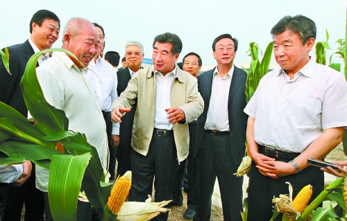 圖為回良玉在鄧州市腰店鄉(xiāng)草寺村視察萬(wàn)畝玉米高產(chǎn)示范方。