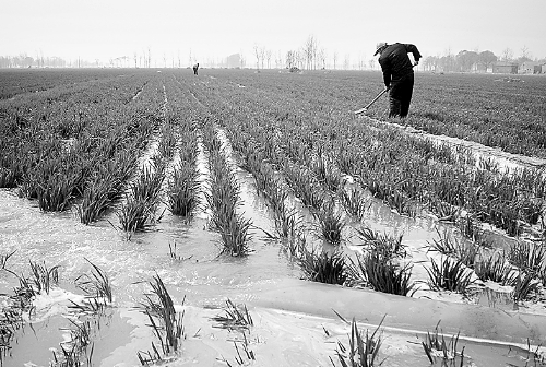 3月25日，濮陽縣郎中鄉(xiāng)大趙寨村農(nóng)民在為小麥澆水。連日來，濮陽縣廣大農(nóng)民不誤農(nóng)時，及時為麥田施肥、澆