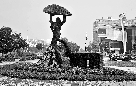 8月28日，南陽街頭繁花似錦，市民宛若行走在花海之中。
