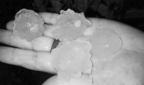 昨天凌晨，三門(mén)峽下起了冰雹，最大直徑近1厘米 微博截圖