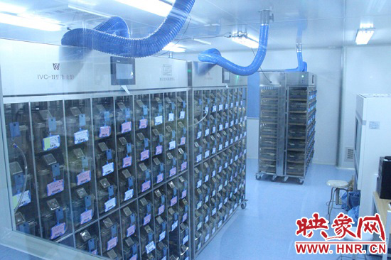 “鼠村”里每一個(gè)籠子是一家?！按濉崩镒≈?萬(wàn)只左右的小鼠