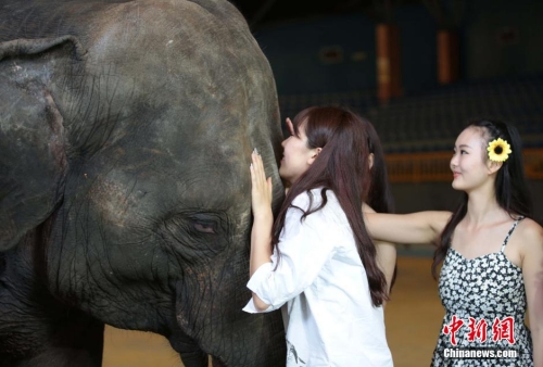 學(xué)生參加?；ㄐ２荽筚?穿比基尼秀身材