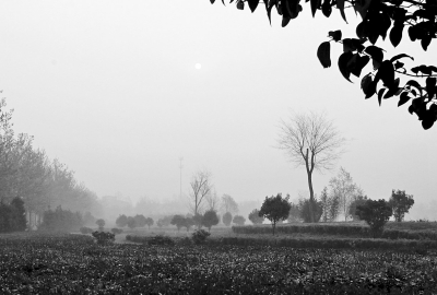 3月26日上午8點,鄭大新校區(qū),濃濃的霧霾埋沒了大好春景。