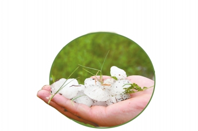 冰雹化了一些,還有這么大。