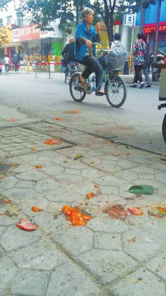 爛了一地的柿子影響市容，還常?；谷?。