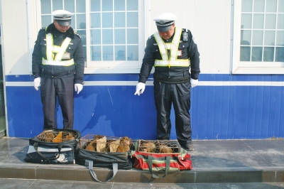 民警查獲的乘客行李包中，裝的全是獼猴。