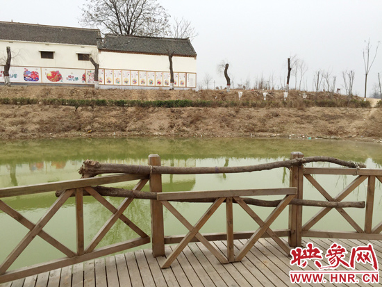 護(hù)欄損毀的地方，已經(jīng)被兩根樹(shù)干擋住。