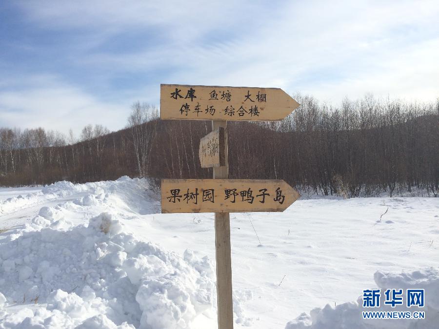穗豐園里的標(biāo)識牌（2013年12月8日攝）。新華社記者王子辰攝