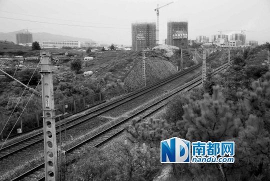 　東源縣法院院長(zhǎng)被火車(chē)撞亡事發(fā)地段。