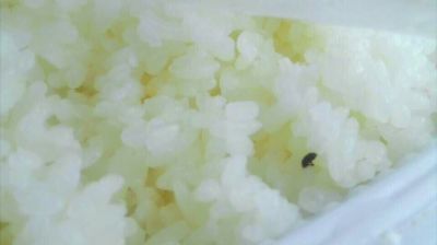 陸先生在高鐵上購(gòu)買的“梅菜扣肉套餐”盒飯。盒飯中的米飯上有芝麻狀的黑色小蟲。