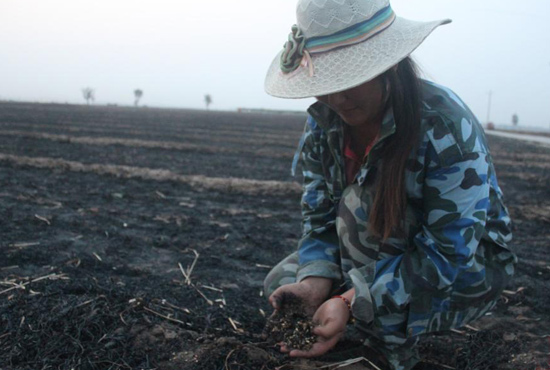 村民們眼巴巴看著豐收的小麥“葬身”火海，心疼不已。