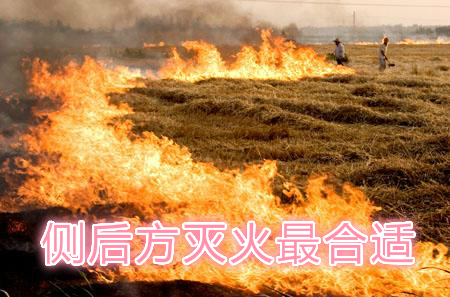 不要在風(fēng)頭上打火：風(fēng)正大，火正旺，最容易傷人；