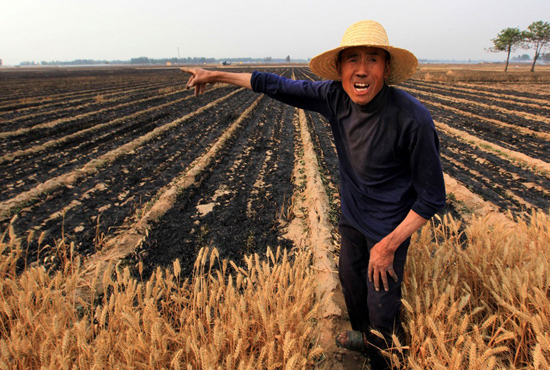 河南省滑縣、內(nèi)黃縣麥田著火，麥壟套種的花生、玉米苗也被烤焦，群眾損失慘重