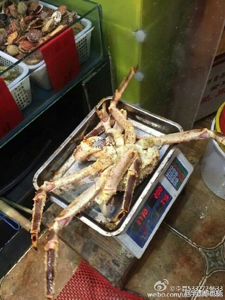 網(wǎng)友提供圖片。