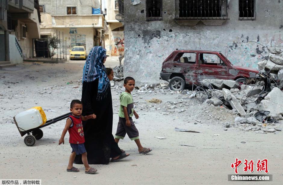 以色列對加沙發(fā)動地面進攻 民眾攜羊群逃難