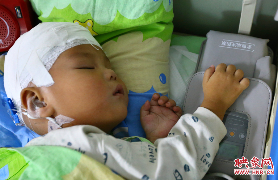 經(jīng)過手術(shù)，小龍病情已經(jīng)逐漸好轉(zhuǎn)，正在甜甜的熟睡