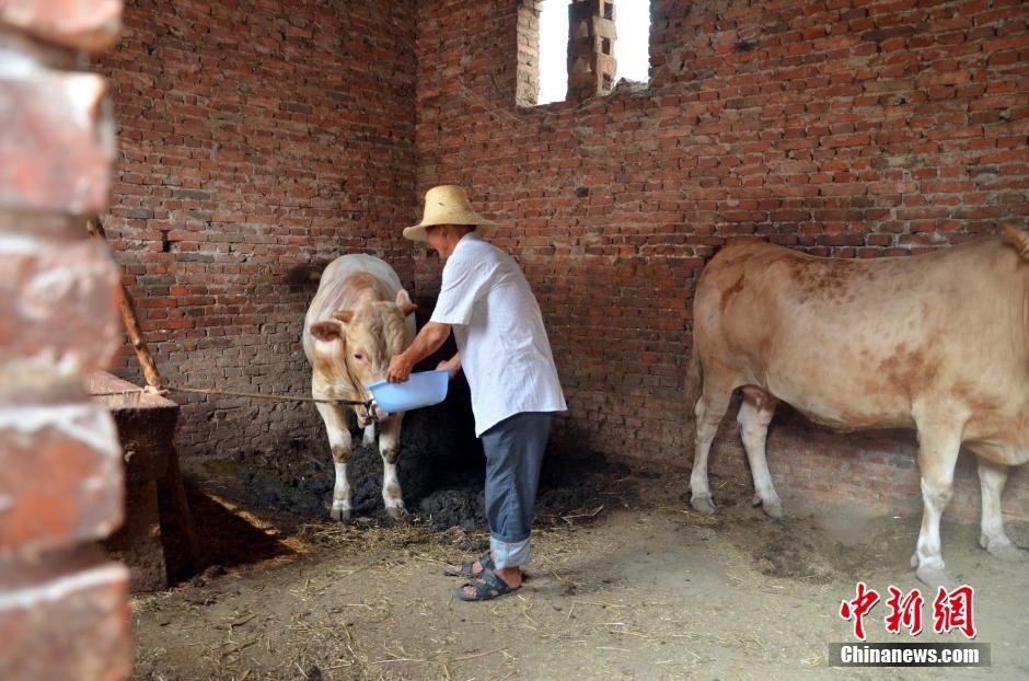 同時(shí)，地下水位的持續(xù)下降以及部分山泉水的干涸，已造成全縣2.85萬人和2000頭大牲畜出現(xiàn)飲水困難。