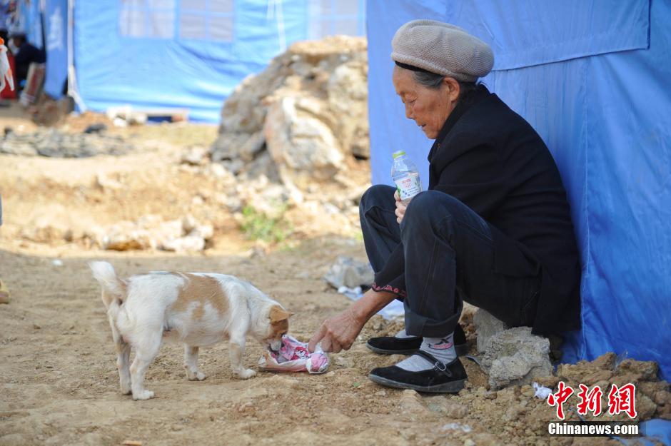 8月6日，一名老人將剛領到的礦泉水分給小狗。