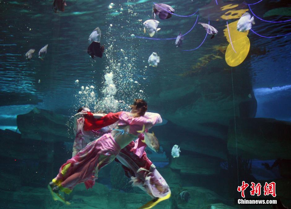 9月7日，在中秋節(jié)到來(lái)前一天，山東泉城海洋極地世界為游客帶來(lái)“嫦娥水中奔月”表演。