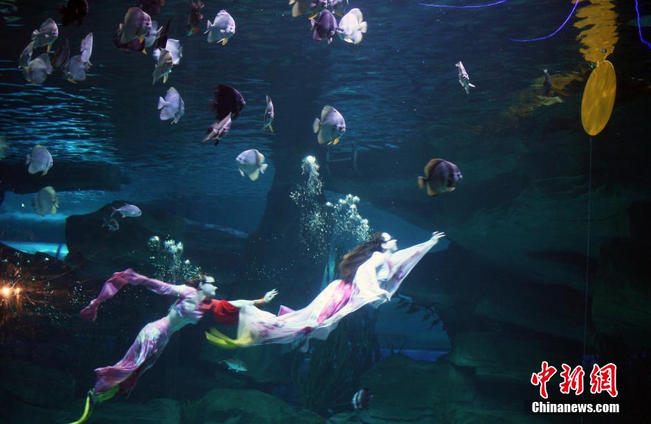 9月7日，在中秋節(jié)到來(lái)前一天，山東泉城海洋極地世界為游客帶來(lái)“嫦娥水中奔月”表演。