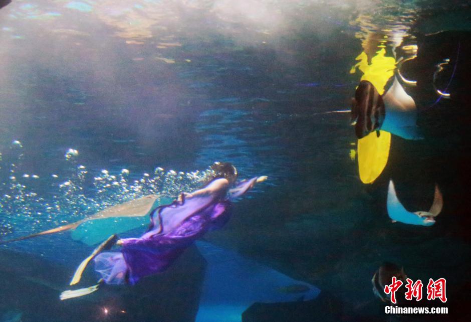 9月7日，在中秋節(jié)到來(lái)前一天，山東泉城海洋極地世界為游客帶來(lái)“嫦娥水中奔月”表演。